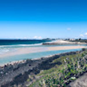 Meet your Posher, Ellie